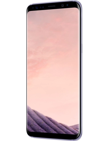 Samsung Galaxy S8 G950F Orchid Gray (Szary)