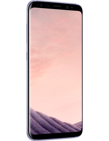 Samsung Galaxy S8+ G955F Orchid Gray (Szary)