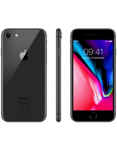 Apple iPhone 8 256GB Space Gray (Gwiezdna Szarość)