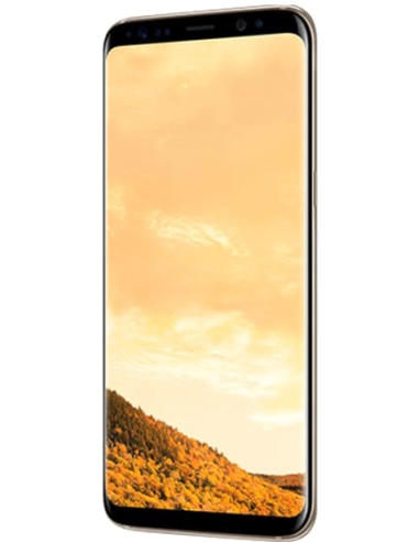 Samsung Galaxy S8+ G955F Maple Gold (Złoty)